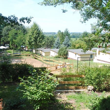 Bungalows Zur Alten Faehre فيردر الغرفة الصورة