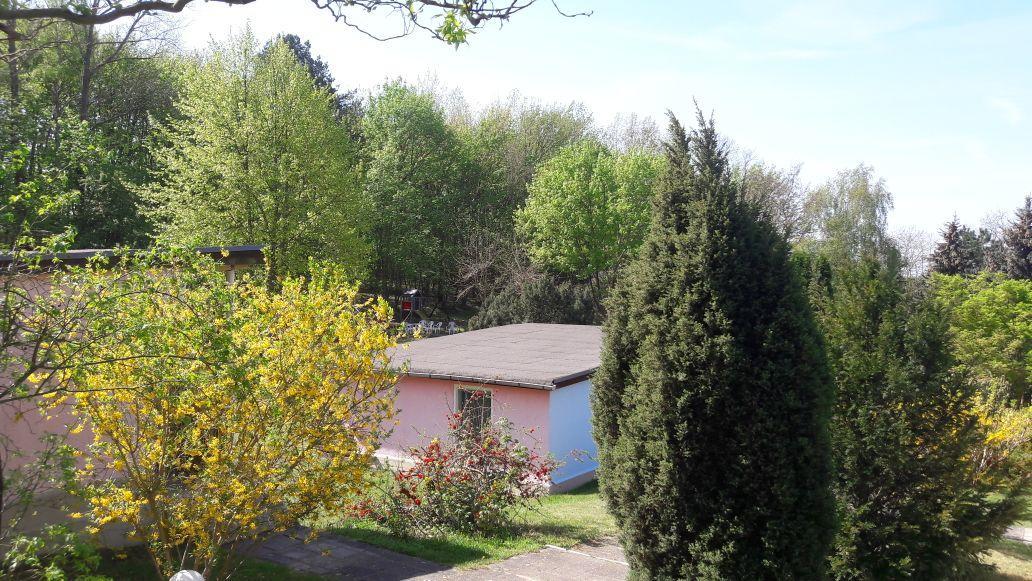 Bungalows Zur Alten Faehre فيردر المظهر الخارجي الصورة